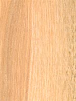 Oak