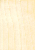Maple