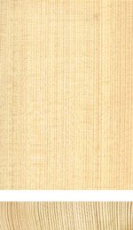 Fir