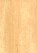 Alder