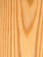 Larch