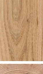 Elm