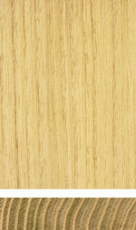Robinia, False acacia