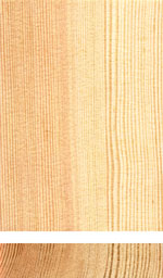 Pine