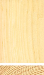 White pine, Weymouth pine