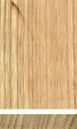 Sweet chestnut, European Chestnut