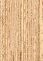 Beech plywood
