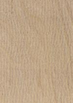 Finnish birch veneer
