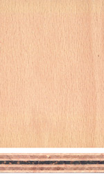Beech plywood with foil centre
