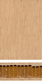 Lightweight compound panel with honey-comb core