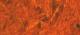 Aliphatic PU-based coating system for wood surfaces