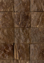 Coconut shell tiles